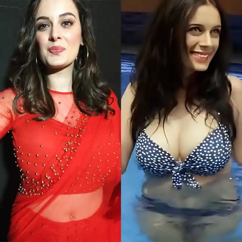 evelyn sharma bikini saree cleavage busty indian actress