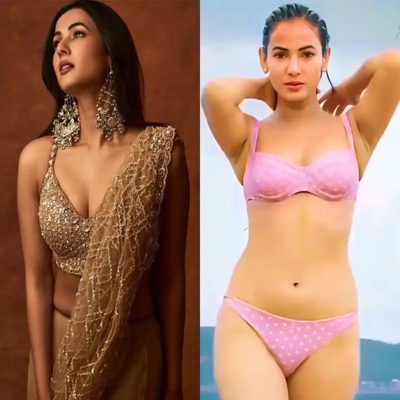 sonal chauhan saree bikini hot actress jannat